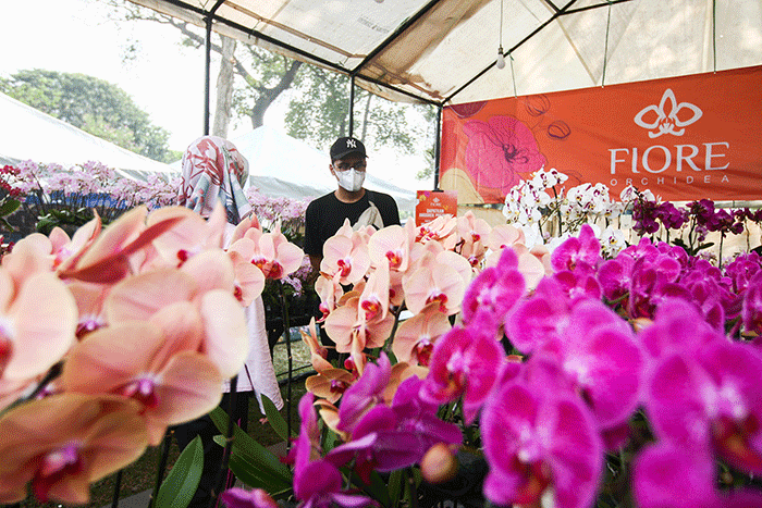 Pedagang menunjukkan kelinci dalam Pameran Flora & Fauna 2022 di Taman Lapangan Banteng, Jakarta, Minggu (28/8/2022).