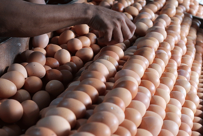 Pedagang telur melayani pembeli di kawasan Jalan Pasar Serdang Kemayoran, Jakarta, Sabtu (3/9/2022).