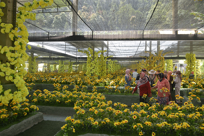 Wisatawan menikmati sejumlah wahana di Bukit Sekipan, Kalisoro, Tawangmangu, Kabupaten Karanganyar, Jawa Tengah.