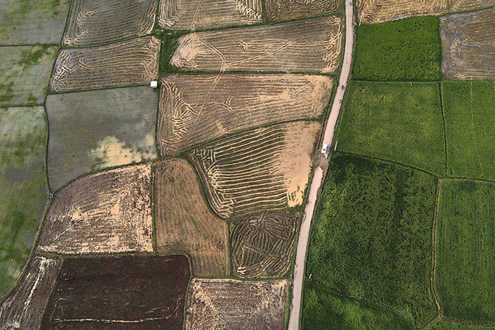 Petani menaburkan pupuk di areal persawahan Kabupaten Gowa, Sulawesi Selatan, Minggu (4/9/2022).