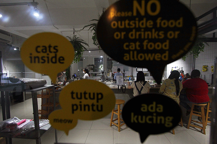 Pengunjung bermain dengan kucing sambil menikmati makanan di Kafe Pecinta Kucing BSD Serpong, Tangerang Selatan, Banten, Kamis (8/9/2022).
