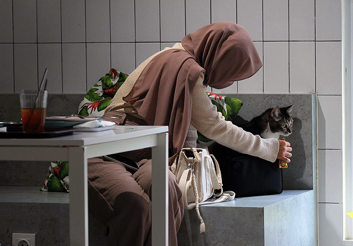 Pengunjung bermain dengan kucing sambil menikmati makanan di Kafe Pecinta Kucing BSD Serpong, Tangerang Selatan, Banten, Kamis (8/9/2022).