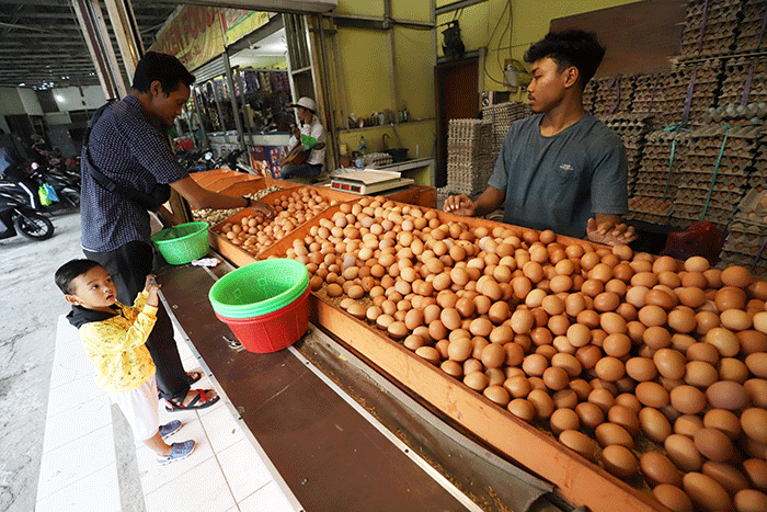 Pedagang menata telur ayam di salah satu toko di kawasan Pondok Melati, Kota Bekasi, Jawa Barat, Rabu (14/9/2022).
