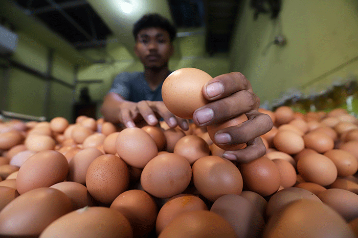 Pedagang menata telur ayam di salah satu toko di kawasan Pondok Melati, Kota Bekasi, Jawa Barat, Rabu (14/9/2022).