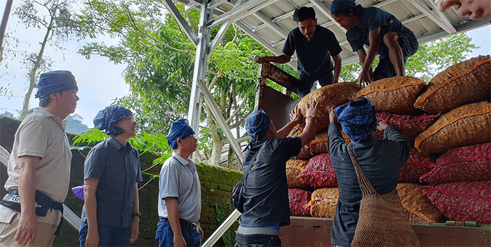 Hasil panen tersebut meningkat 100% dari panen perdana pada 20 Oktober 2021 yang menghasilkan 16 ton jahe merah yang juga dipasok ke PT Bintang Toedjoe.