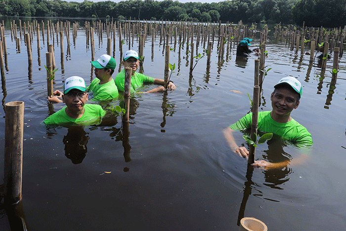 Mangrove Project – Untuk SATU Bumi di Taman Wisata Alam (TWA) Mangrove Angke, Jakarta Utara, Sabtu (24/9/2022).