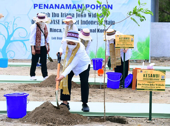 Ibu Negara Iriana Joko Widodo dan anggota Organisasi Aksi Solidaritas Era Kabinet Indonesia Maju (OASE KIM) melakukan kegiatan penanaman pohon kesambi.