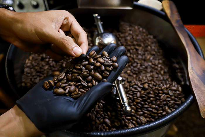 Pemilik cafe sedang melakukan Roasting Kopi di Jakarta, Selasa (4/10/2022).
