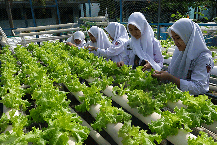 Sejumlah siswa belajar bercocok tanam di kebun sekolah SMA Negeri 10 Makassar, Selasa (11/10/2022).
