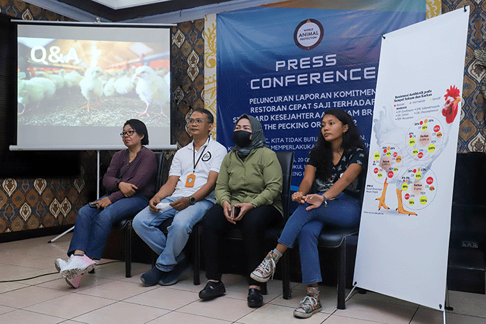 Konferensi pers terkait 'Mendorong Emiten Resto Cepat Saji Terhadap Standart Dalam Kesejahteraan Ayam' dalam Riset World Animal Protection.