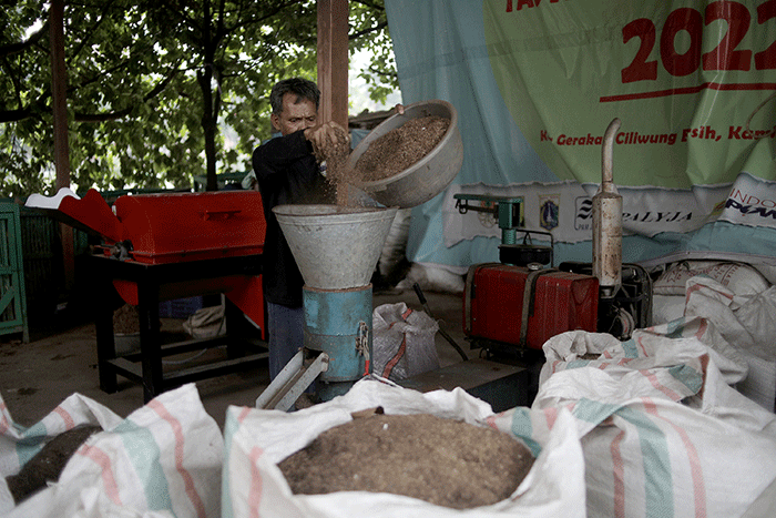 Pekerja mengolah sampah organik di Sekretariat Gerakan Ciliwung Bersih, kawasan Karet Bivak, Jakarta, Sabtu (22/10/2022).