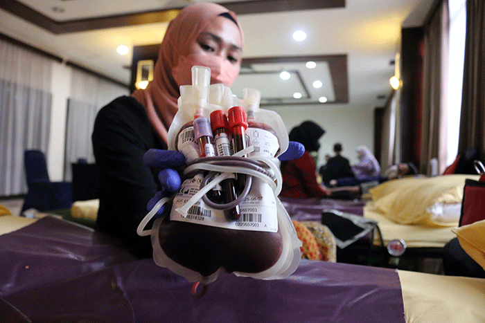 Warga melakukan donor darah yang diselenggarakan oleh PMI di Hotel Kaisar, Jakarta, Sabtu (22/10/2022).