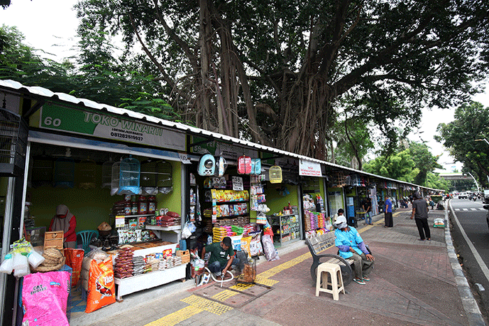 Para pedagang saat menunggu pembeli di pasar hewan Barito, Kebayoran Lama, Jakarta, Selasa (25/10/2022).