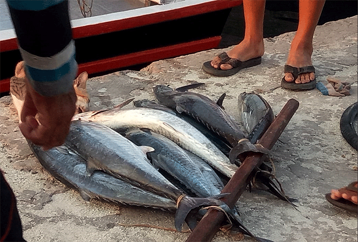 Aktivitas nelayan di Pulau Panggang, Kepulauan Seribu, Senin (31/10/2022).