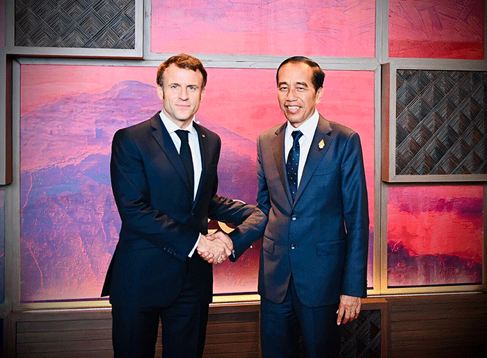 Di sela-sela penyelenggaraan KTT G20 Bali tahun 2022, Presiden Joko Widodo mengadakan pertemuan bilateral dengan Presiden Prancis, Emmanuel Macron.