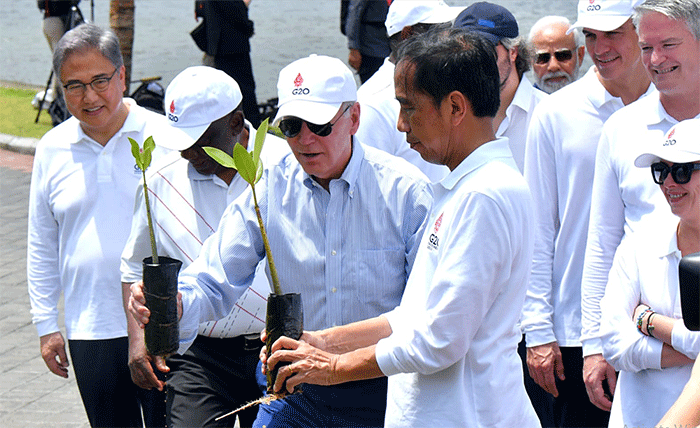 Presiden Joko Widodo mengajak pemimpin negara G20 ke Taman Hutan Raya Bakau, di Denpasar Bali.