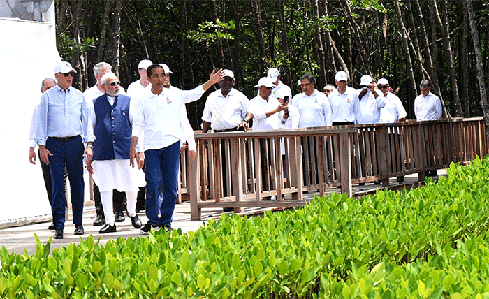 Presiden Joko Widodo mengajak pemimpin negara G20 ke Taman Hutan Raya Bakau, di Denpasar Bali.