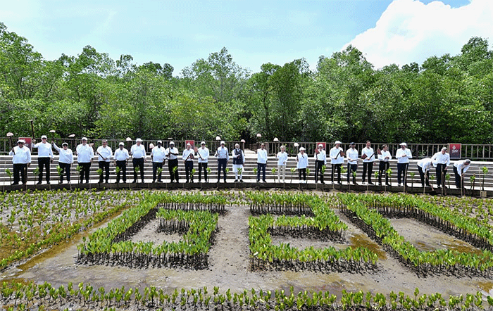 Presiden Joko Widodo mengajak pemimpin negara G20 ke Taman Hutan Raya Bakau, di Denpasar Bali.