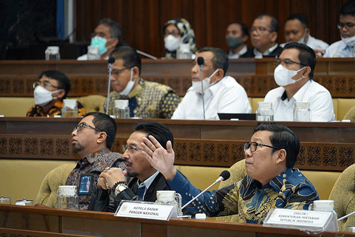 Kepala NFA Arief Prasetyo Adi saat Rapat Dengat Pendapat dengan Komisi IV DPR di Kompleks Parlemen, DPR, Jakarta, Rabu (23/11/2022).