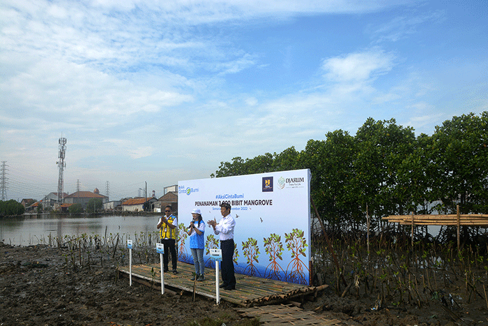 Penanaman bibit mangrove di Banjir Kanal Barat, Tambakrejo, Semarang, Jawa Tengah, Kamis (24/11/2022).