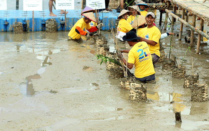 Penanaman pohon mangrove di Desa Bedono, Demak, Jawa Tengah, Senin (28/11/2022).