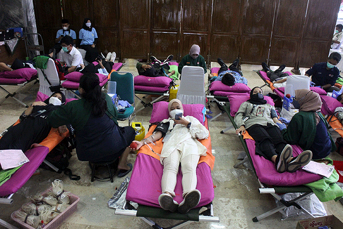 Tenaga kesehatan mengambil darah pegawai DPR saat mengikuti aksi donor darah di kompleks parlemen, Senayan, Jakarta, Selasa (29/11/2022).