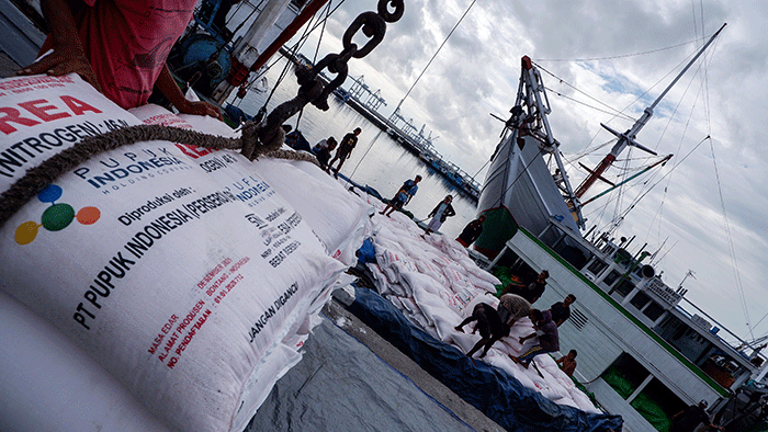 Aktivitas bongkar muat distribusi pupuk bersubsidi di Pelabuhan Paotere, Makassar, Senin (28/11/2022).