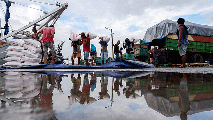 Aktivitas bongkar muat distribusi pupuk bersubsidi di Pelabuhan Paotere, Makassar, Senin (28/11/2022).