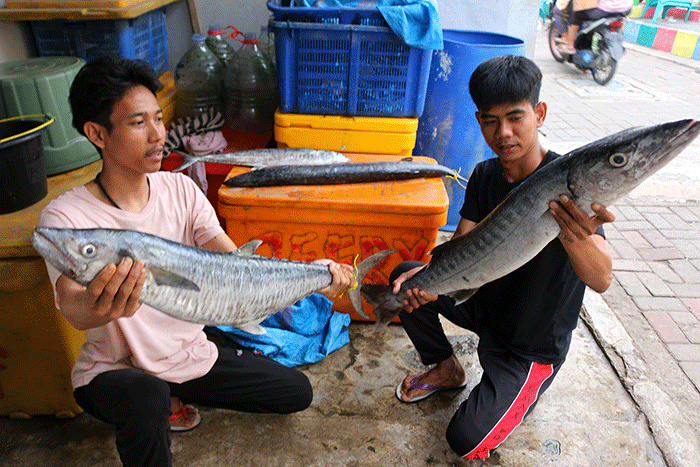 Pengepul ikan dan pembudidaya ikan keramba apung menunjukkan ikan di kawasan Pulau Panggang, Kepulauan Seribu Utara, Provinsi DKI Jakarta, Senin (5/12/2022).