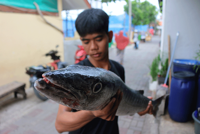 Pengepul ikan dan pembudidaya ikan keramba apung menunjukkan ikan di kawasan Pulau Panggang, Kepulauan Seribu Utara, Provinsi DKI Jakarta, Senin (5/12/2022).