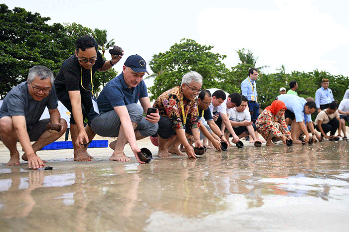 Bank BTN sebagai bagian dari Tanggung Jawab Sosial dan Lingkungan tersebut, setidaknya telah mengembalikan hampir 10 ribu tukik ke habitat asalnya.