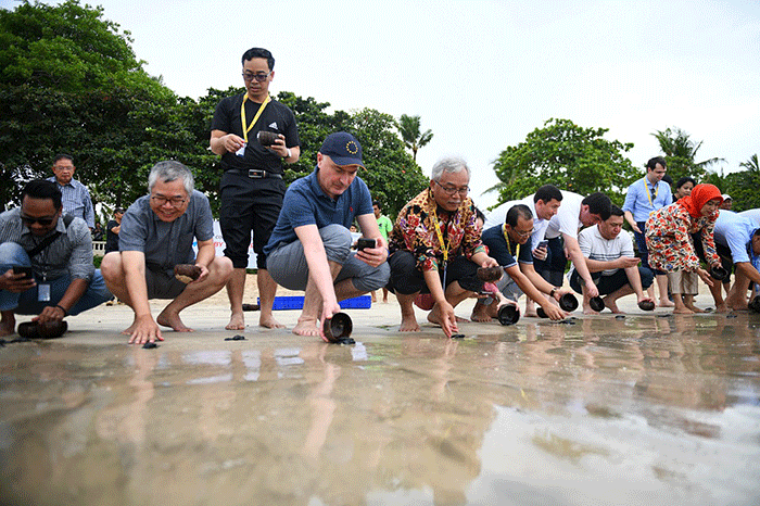 Bank BTN sebagai bagian dari Tanggung Jawab Sosial dan Lingkungan tersebut, setidaknya telah mengembalikan hampir 10 ribu tukik ke habitat asalnya.