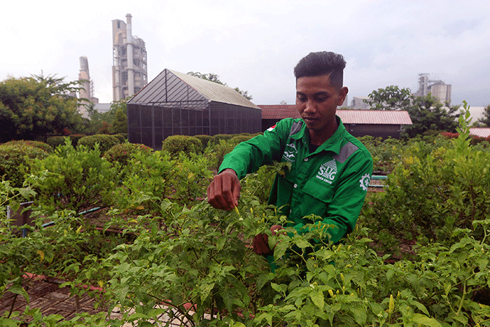 Pekerja merawat tanaman di Edupark, Pabrik Semen Gresik di Rembang, Jawa Tengah, Jumat (16/12/2022).