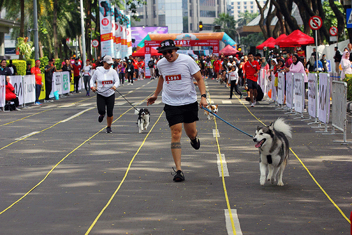 Pelari mengikuti balap lari yang diadakan oleh SCBD x IndoRunners Anniversary di SCBD Walker Kawasan Bisnis SCBD Jakarta, Minggu (18/12/2022).