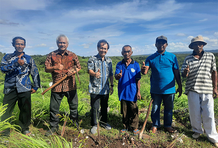 Program pembinaan yang melibatkan 19 petani di 2 kabupaten 6 desa ini merupakan program kolaborasi YDBA dan CV DAB Subur.