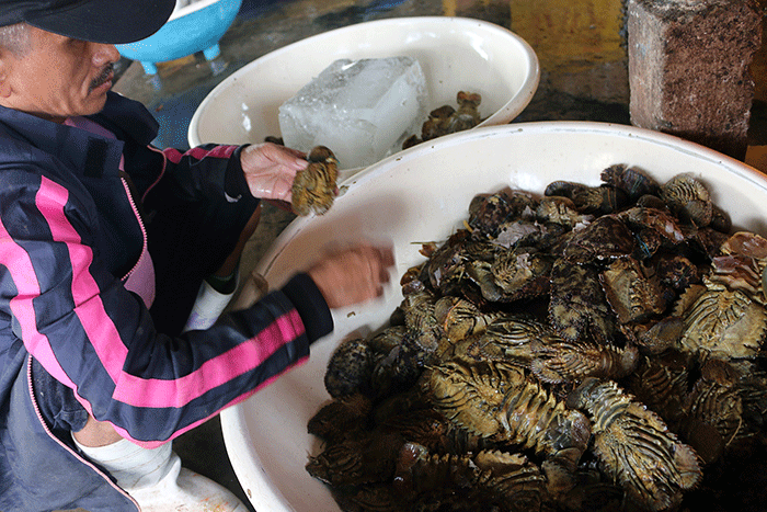 Suasana Aktivitas pedagang Ikan di Pasar Ikan Muara Angke, Jakarta, Kamis (29/12/2022).