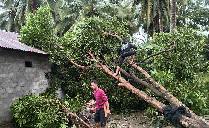 Sejumlah rumah warga Kabupaten Mamuju, Provinsi Sulawesi Barat, mengalami kerusakan akibat angin kencang.