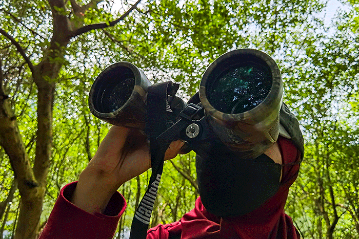 Biodiversity Warriors (BW) KEHATI melakukan sensus burung air Asia (Asian Waterbird Census) di Taman Wisata Alam Mangrove Angke Kapuk, Jakarta.