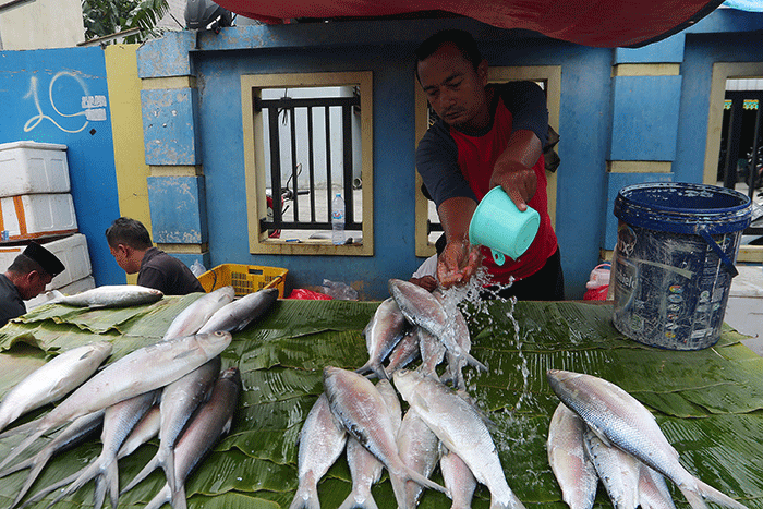 Penjual menyiramkan air pada ikan bandeng yang dijualnya jelang Hari Raya Imlek di Rawa Belong, Jakarta, Jumat (20/1/2023).