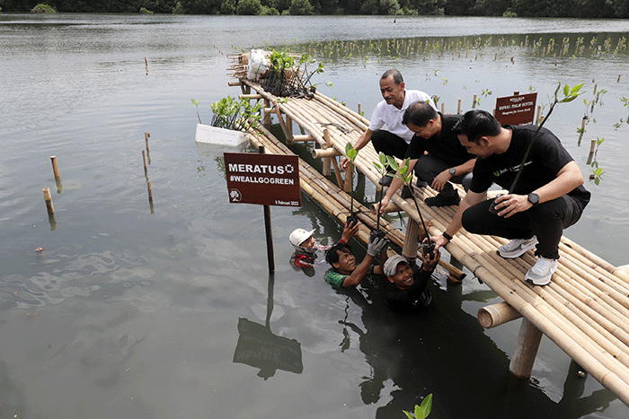 Peluncuran layanan Meratus Earth Squad di Taman Wisata Alam Mangrove, Jakarta, Kamis (9/2/2023).