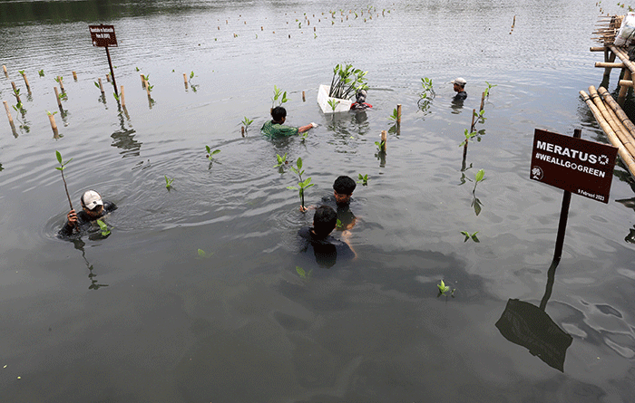 Peluncuran layanan Meratus Earth Squad di Taman Wisata Alam Mangrove, Jakarta, Kamis (9/2/2023).