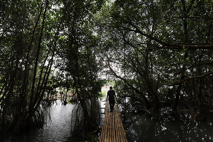 Peluncuran layanan Meratus Earth Squad di Taman Wisata Alam Mangrove, Jakarta, Kamis (9/2/2023).