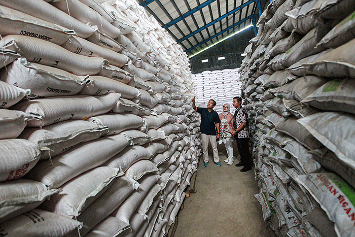 Direktur Pemasaran Pupuk Indonesia, Gusrizal mengatakan bahwa stok pupuk subsidi tersebut terdiri dari pupuk urea sebesar 309.869 ton dan NPK sebesar 303.269.