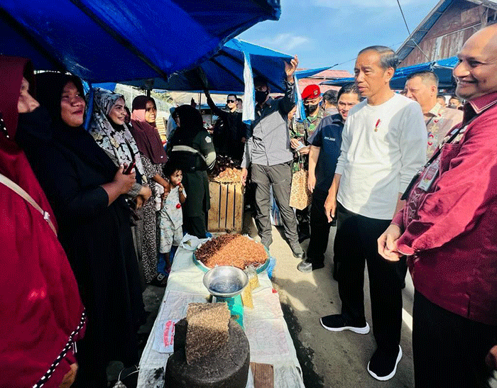 Presiden Joko Widodo mengecek harga-harga sejumlah komoditas di Pasar Batuphat Timur, Kota Lhokseumawe, Provinsi Aceh, Jumat (10/2/2023).