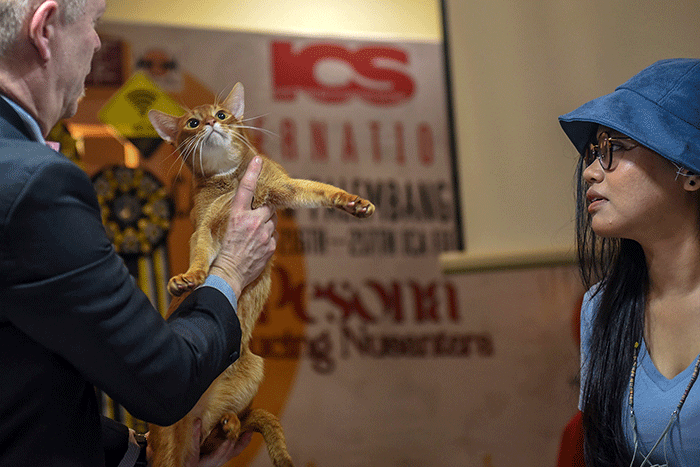 Dua juri internasional Veikko Saarela AB dari Finlandia dan Marteinn Tausen AB dari Islandia menilai kucing peserta The 216th ICA_FIFe Internasional Cat Show.