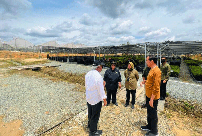 Presiden Joko Widodo meninjau Persemaian Mentawir di Kabupaten Penajam Paser Utara, Kalimantan Timur, Kamis (23/2/2023).