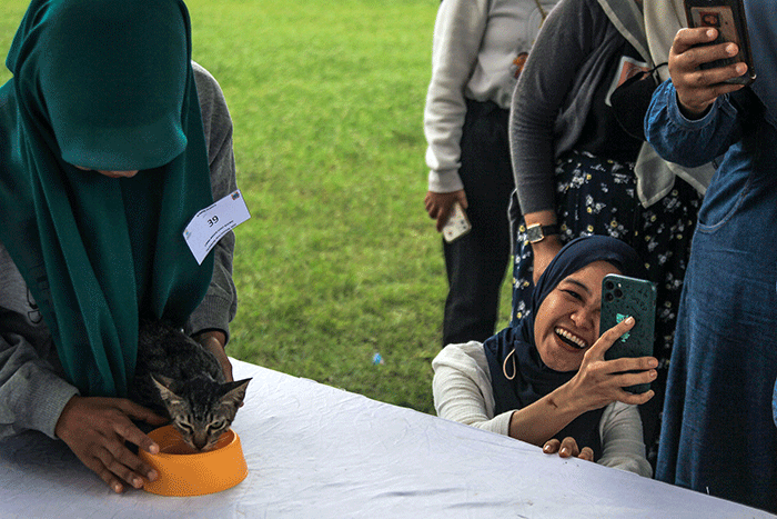 Puluhan ayam, kucing dan anjing bersama pemiliknya mengikuti lomba pada Palembang Pets Festival 2023 Stadion Kamboja Palembang, Sabtu (25/2/2023).