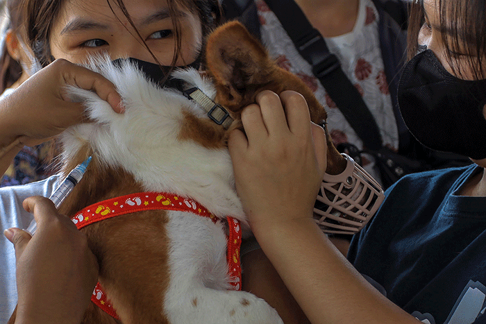Warga antusias mendatangi layanan Vaksin Rabies gratis untuk hewan peliharaan kucing dan anjing di Taman Kambang Iwak Palembang, Minggu (5/3/2023).