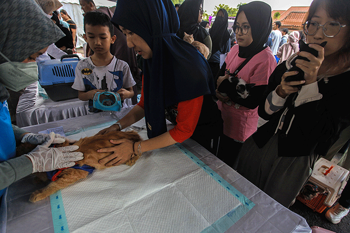 Warga antusias mendatangi layanan Vaksin Rabies gratis untuk hewan peliharaan kucing dan anjing di Taman Kambang Iwak Palembang, Minggu (5/3/2023).
