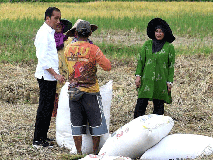 Presiden Jokowi berbincang dengan petani yang sedang memanen padi di Bandung, Jawa Barat, Senin (6/3/2023).